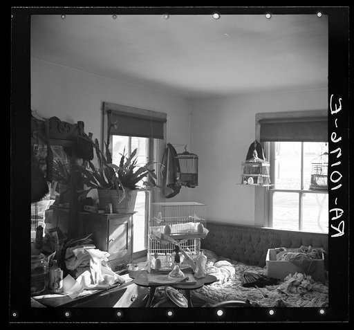 One of the rooms of James Simmons' house near Marseilles, Illinois. He is a tenant farmer on two hundred forty acre farm owned by a loan company