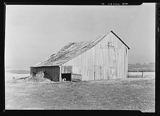 Old barn on John Landers' farm near Marseilles, Illinois. Landers rents this farm from a group of mortgage noteholders who have foreclosed