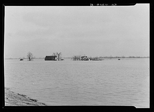Flooded farmland near New Madrid, Missouri