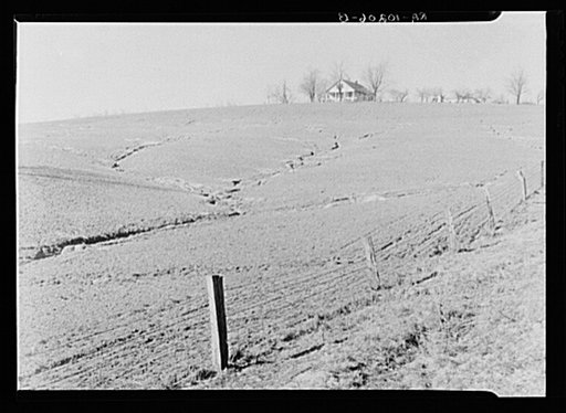 Soil erosion. Posey County, Indiana