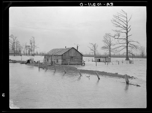 Flooded farm near New Madrid, Missouri