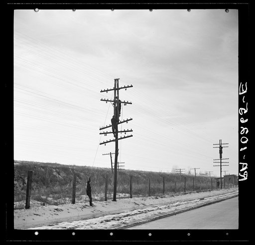 Telephone linesmen raising wires to keep them above the flood level. Near Cache, Illinois