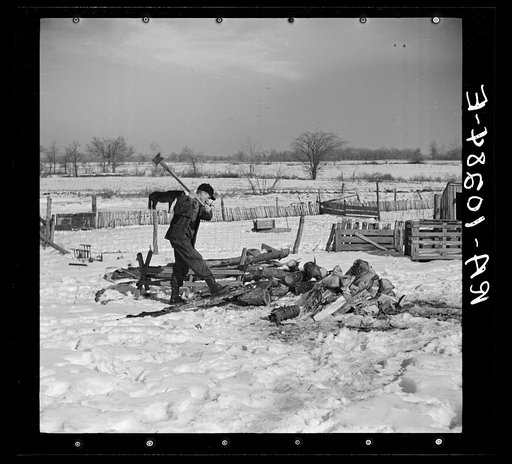 Oscar Gaither, tenant farmer, chopping wood near McLeansboro, Illinois
