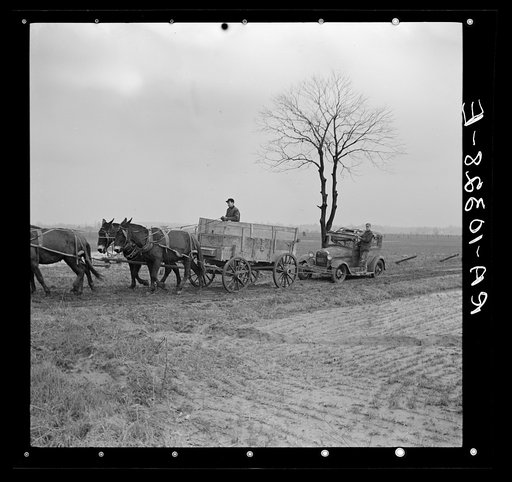 Towing flood-damaged automobile to be reconditioned. Point Township, Posey County, Indiana