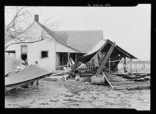 Havoc wrought by flood on a farm in Posey County, Indiana