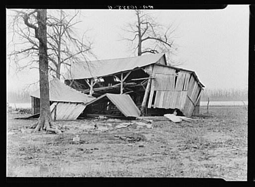 Collapsed barn on farm near Mount Vernon, Indiana. 1937 flood