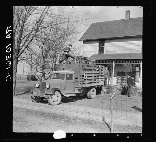 Everett Shoemaker, tenant farmer, moving off his farm near Shadeland, Indiana