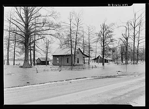 Flooded farm near New Madrid, Missouri