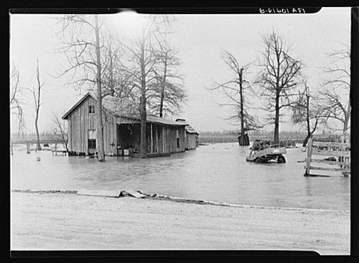 Flooded farm near New Madrid, Missouri