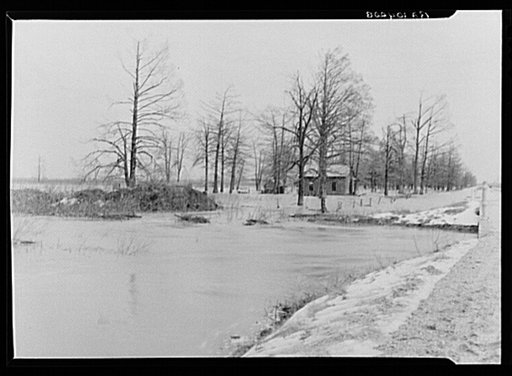 Flooded farm near New Madrid, Missouri