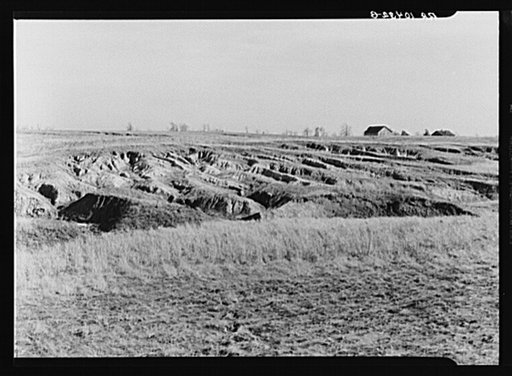 Example of gullying in farmland. White County, Illinois