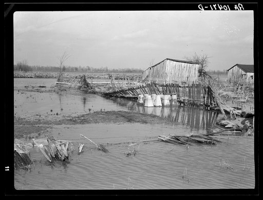 Flooded farmland near New Madrid, Missouri