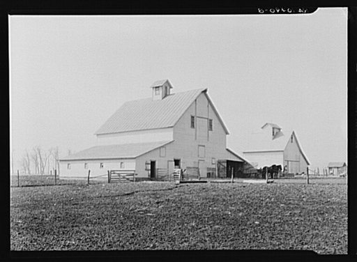 Barn and corn crib on the one hundred sixty acres owned and operated by August Grettencord. This farm is southwest of Fowler, Indiana