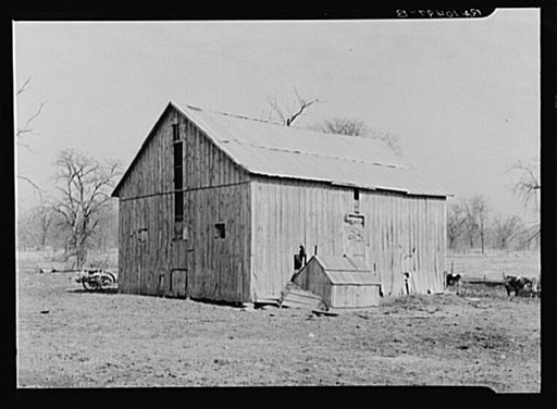 Barn on William Weltis' farm near Boswell, Indiana. This farm (fourteen hundred acres) is owner-operated under a heavy mortgage