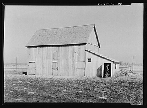 Barn on the land of Sylvester Garring, thirty-one-year-old tenant farmer. Garring built the addition to the barn to house his cattle. The landlord paid for the lumber. Near Fowler, Indiana