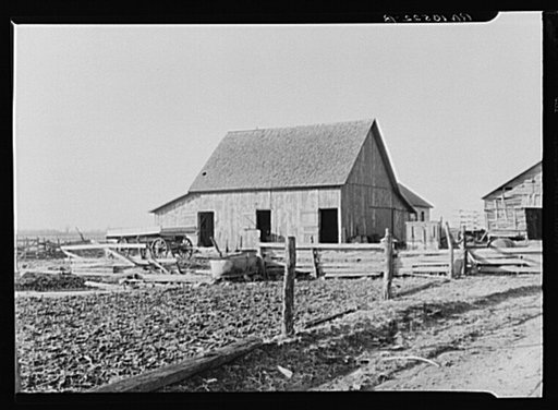 Barn on the farm rented by August Feck. Near Templeton, Indiana. Feck has been a tenant on this farm for the past twelve years and has had to do much building and repairing at his own expense, but he has never been given more than a one year lease