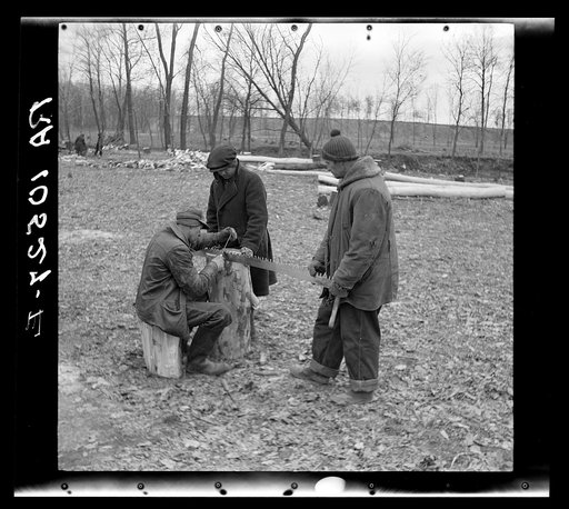 Workers filing saw used to cut trees in background. Near Shadeland, Indiana
