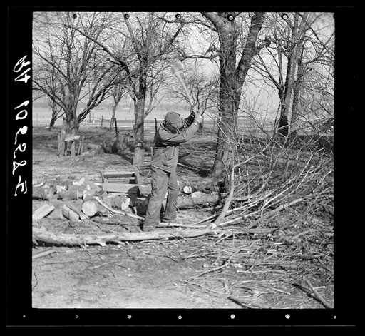 Sylvester Garring, thirty-one year old tenant of an absentee landlord, chopping wood. Near Fowler, Indiana
