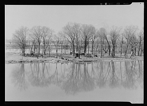 The home of an island farmer on the Illinois River near Ottawa, Illinois. Note graveyard on the opposite bank