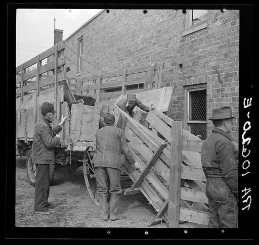 Preparing to unload cattle from a farmer's wagon at the sales pavilion. Aledo, Illinois