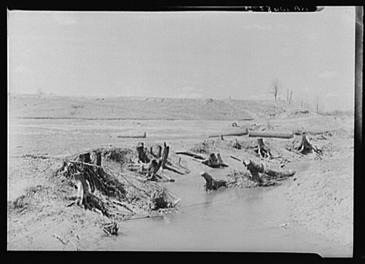 Earthen dam with logs and debris from cleaned land near Burns City, Indiana. Martin Company development project