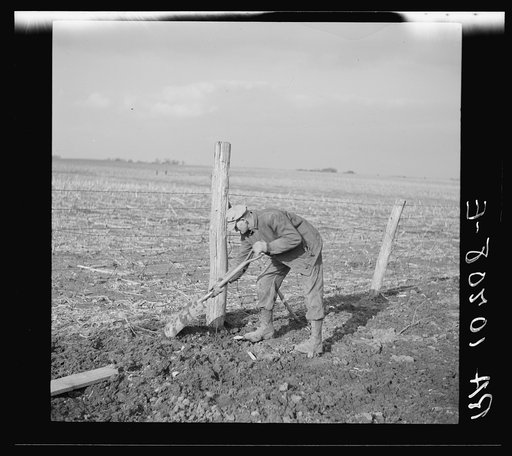 Tip Estes, hired man, repairing a fence. Near Fowler, Indiana