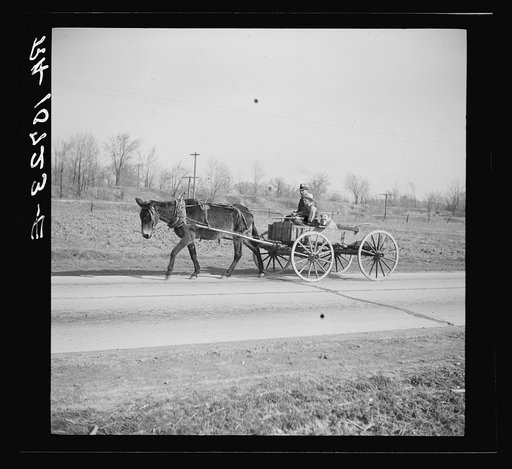 Going to town. Near Eldorado, Illinois