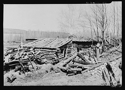 Rear of house occupied by Buckboard Charlie, squatter near Iron River, Michigan