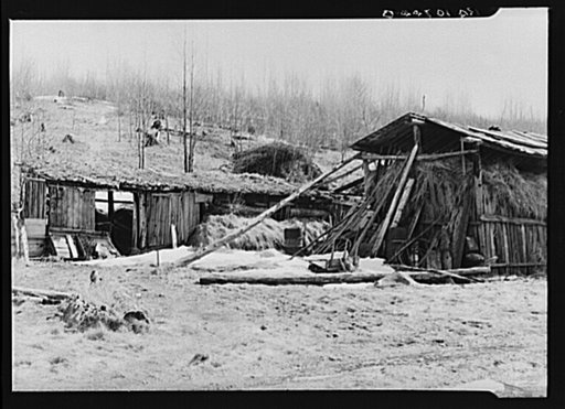 Two "barns" on the land occupied by Buckboard Charlie, squatter near Iron River, Michigan