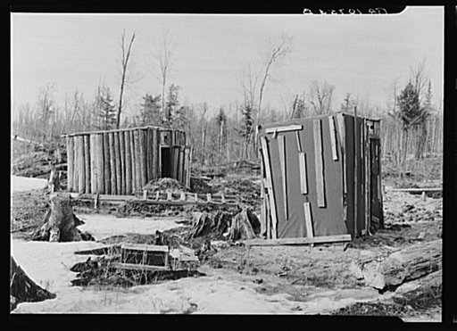 Cow shed and poultry house on the land occupied by the Ingrahams and the Smallwoods near Nelma, Wisconsin