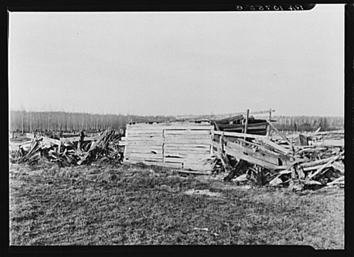 Cow shed and stump fence on an abandoned farm near Nelma, Wisconsin
