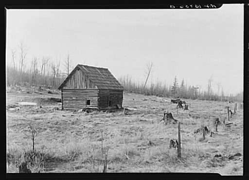 An abandoned cut-over farm near Nelma, Wisconsin. Barn in center, remains of dismantled house to the right