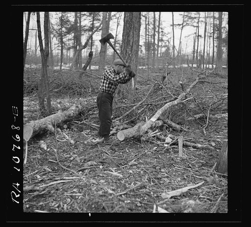 Lumberjack. Forest County, Wisconsin