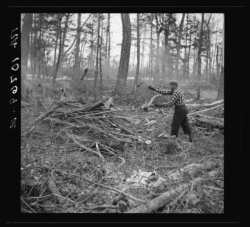 Lumberjack cleaning up brush and burning it at a camp in Forest County, Wisconsin