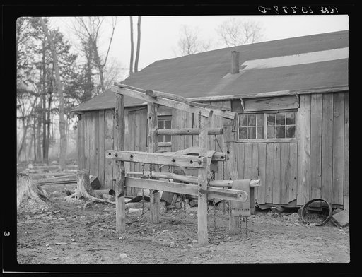 Stand for strapping in horses while being shod. Forest County lumber camp. Wisconsin