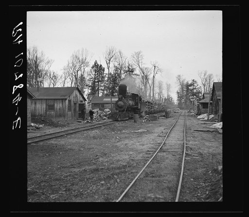 The log train passes through the lumber camp en route to Rhinelander, Wisconsin, where the sawmill of the lumbercamp is located. Forest County, Wisconsin