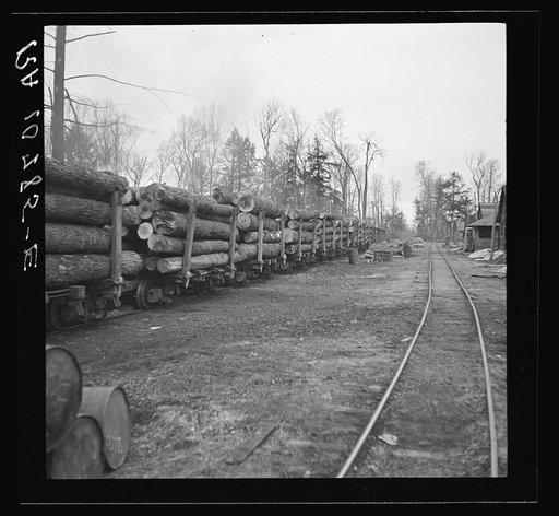 The main log train going through the lumber camp en route to Rhinelander, Wisconsin, where the sawmill is located. Forest County, Wisconsin
