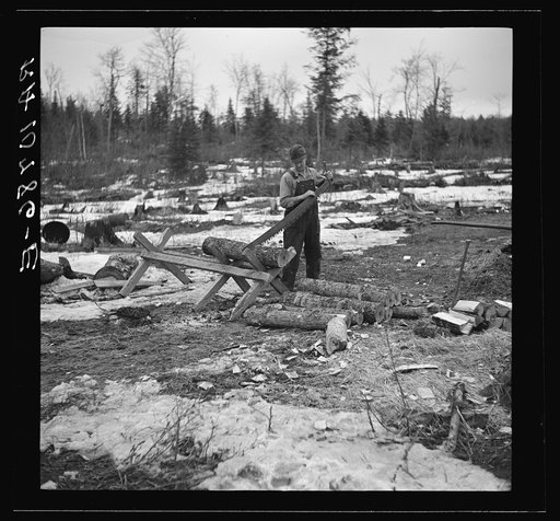 Mr. Smallwood, shacker near Alvin, Wisconsin, sawing wood