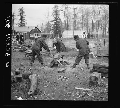 Members of the transient camp saw up old sleds for firewood. Near Hagerman Lake, Michigan