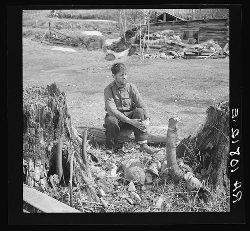 Buckboard Charlie, a squatter near Iron River, Michigan