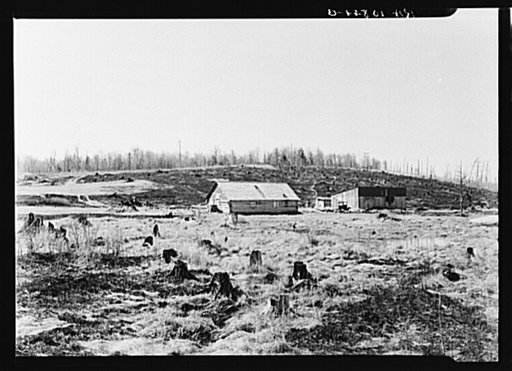 Cut-over farm in Iron County, Michigan. The dried grass has been burned, as is customary among farmers in the spring. This is a doubtful practice because of damage to the humus of the soil