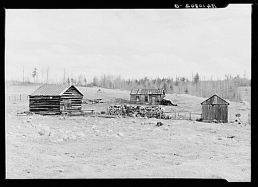 Cut-over farm. Florence County, Wisconsin. The family has moved to better buildings. Note rocky soil