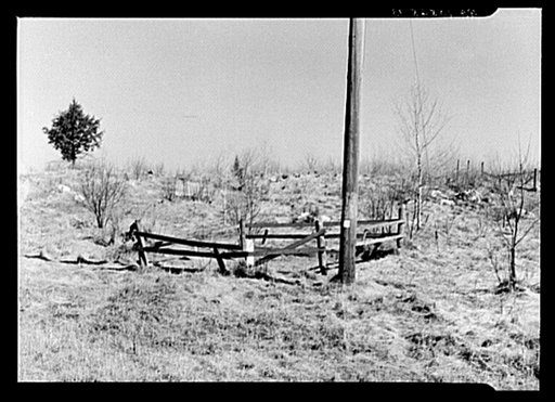 A one-grave cemetery in the cut-over lands near Tipler, Wisconsin