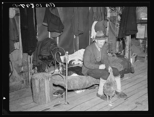 Lon Allen, farmer of the cut-over area near Iron River, Michigan, feeding a chicken in his bedroom. Last winter a cow was brought into the house to keep it from freezing