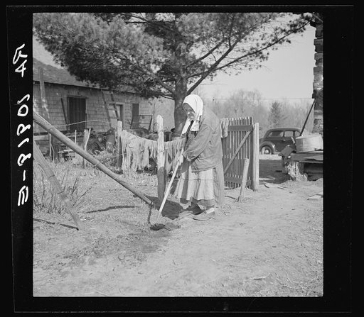 An old lady hoeing her garden on her small farm near Gibbs City, Michigan
