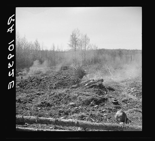 Burning brush on Sando Evanoff's farm. Iron County, Michigan. This is one of the processes in cleaning cut-over land