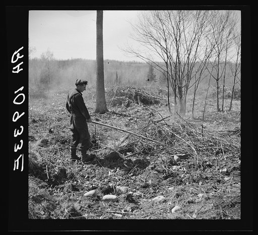 Sando Evanoff, farmer of the cut-over regions, Iron County, Michigan, tending a fire of brushings from the land being cleaned