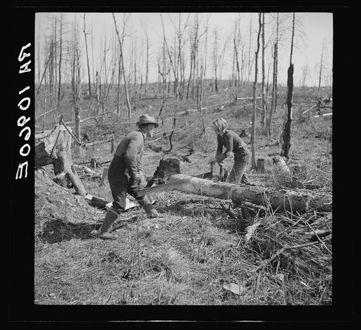 Lon Allen and daughter sawing log on farm near Iron River. It is a common practice for both sexes to work together in operations on the farm