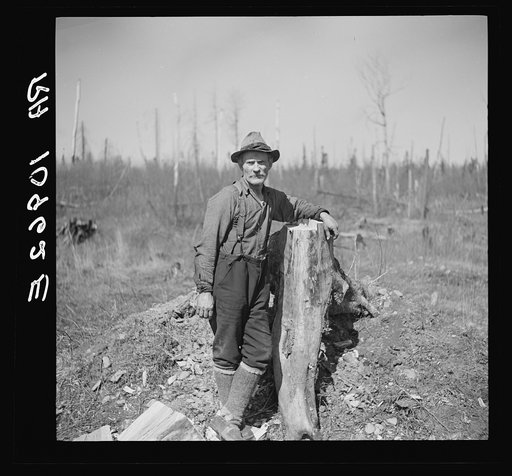 Lon Allen, farmer of the cut-over regions near Iron River, Michigan