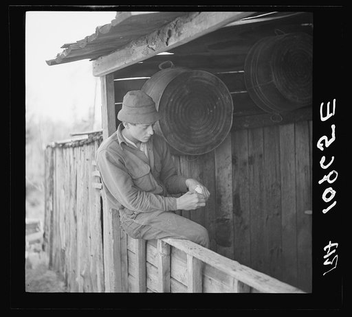 Son of William Shanard, cut-over farmer, near Silk Lake, Michigan, rolling a cigarette